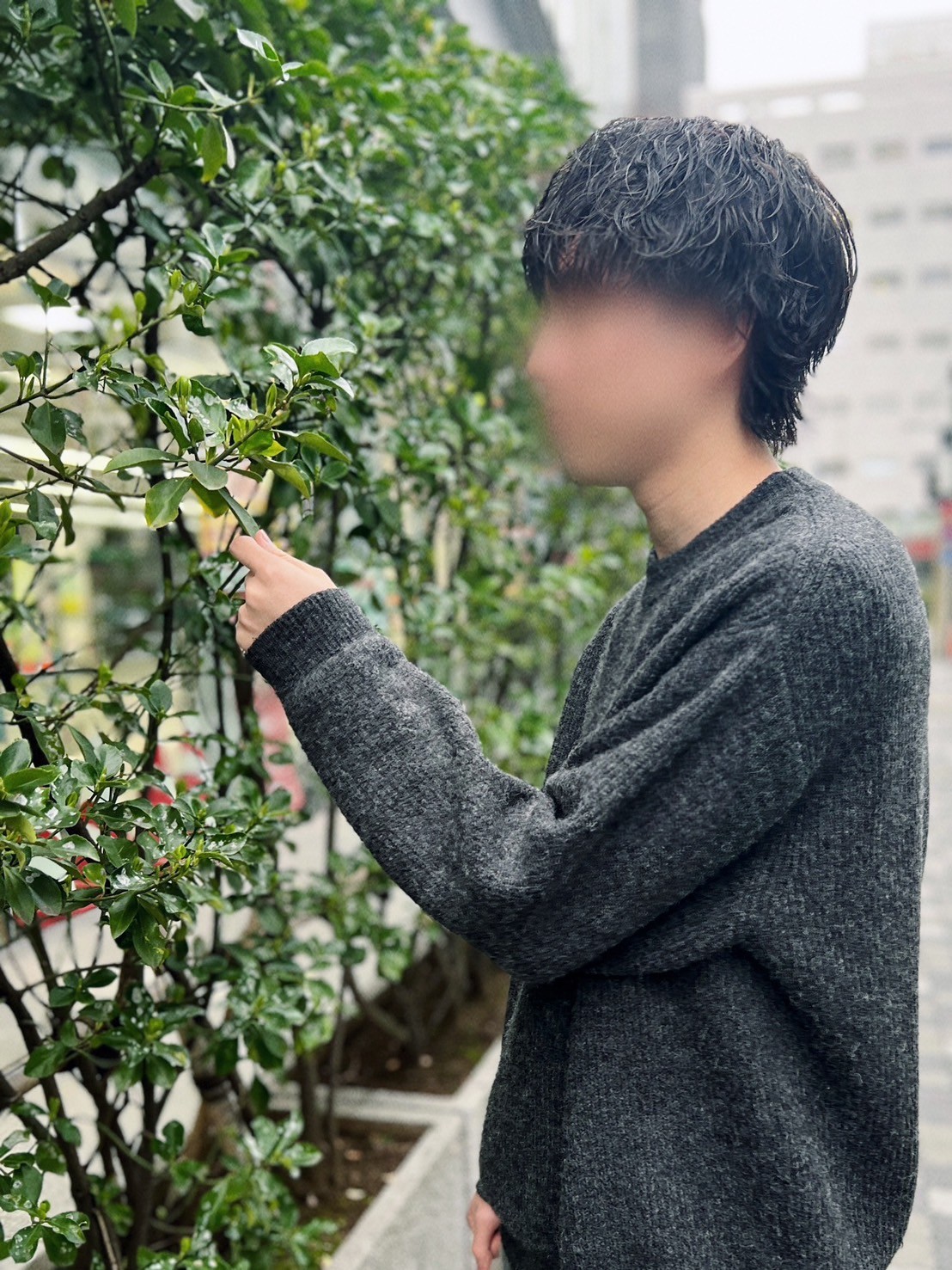 なつき 1枚目